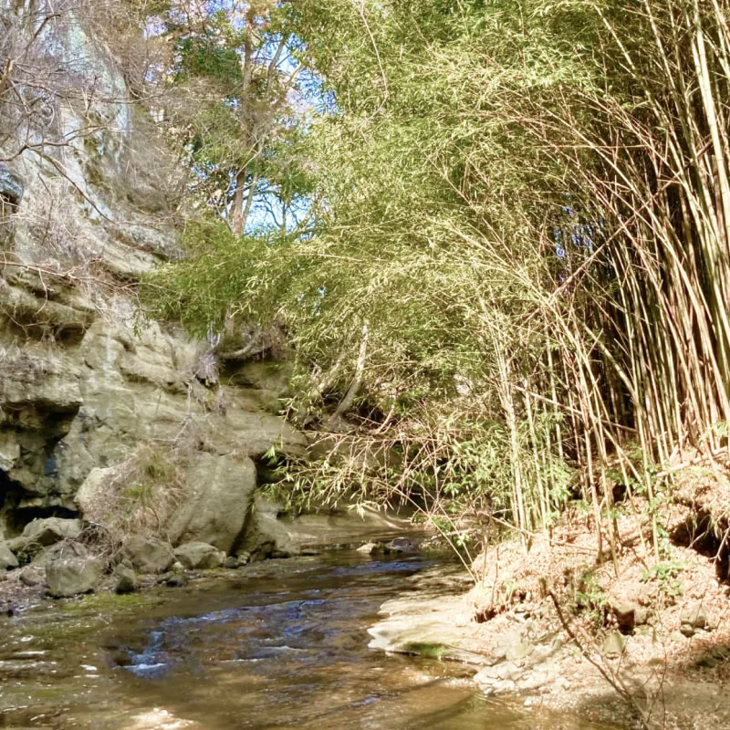川沿いで思うがままに